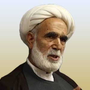 تصویر پروفایل  حجت السلام رضا محمدي شاهرودی