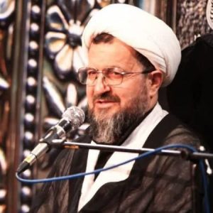 Profile photo of استاد محمدمهدی ماندگاری