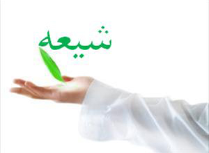 دوره صفات شیعه استاد رفیعی | بررسی ویژگی‌های شیعه واقعی در قرآن و روایات